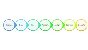 The seven steps of the Salesforce lead management process.