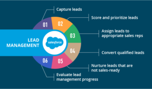 Graph of the six principles of lead management