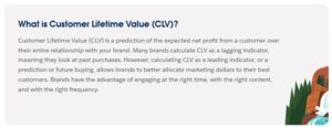 definition of customer lifetime value from Salesforce
