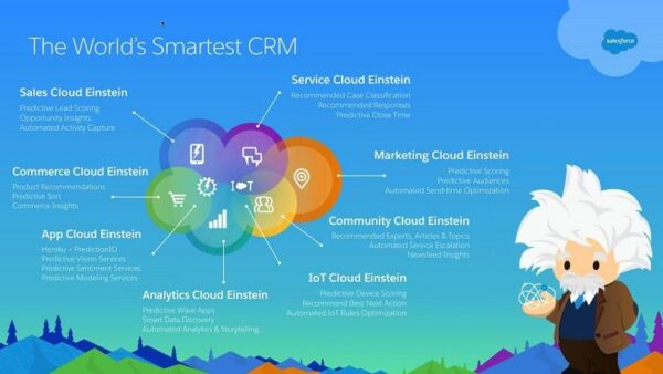 Salesforce Einstein is full of flexible features for various implementations.